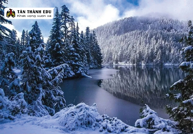 Rừng đen ở Đức - Một biểu tượng văn hóa của nước này