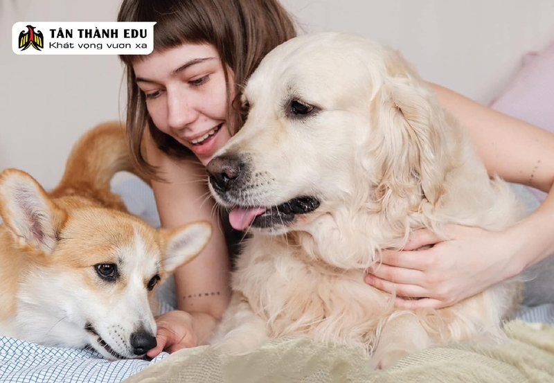 Những điều cần biết khi nuôi thú cưng ở Đức