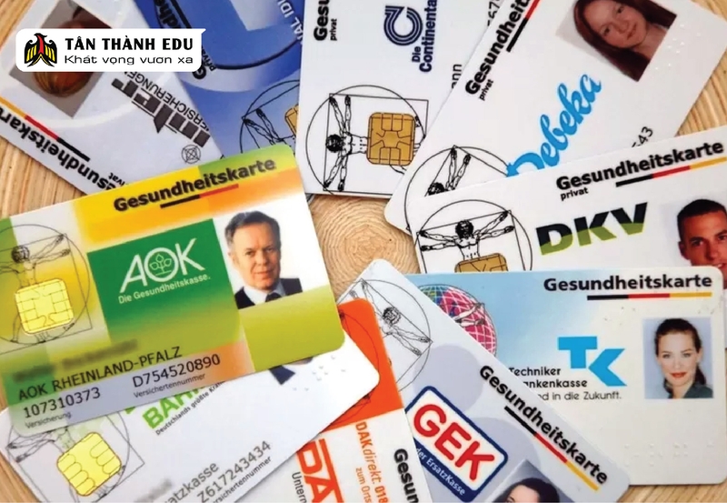 Sức mạnh của bảo hiểm y tế tại Đức