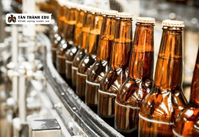 Du học nghề Đức ngành nấu bia – NGHỀ MỚI, CƠ HỘI MỚI
