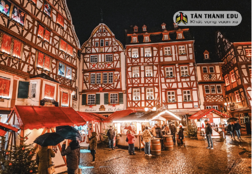 Chuẩn Bị Du Học Nghề Đức Theo Từng Mùa: Bạn Đã Sẵn Sàng Chưa?