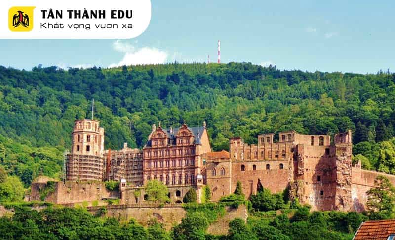 Lâu đài Heidelberg địa danh nhất định phải ghé thăm khi tới Đức